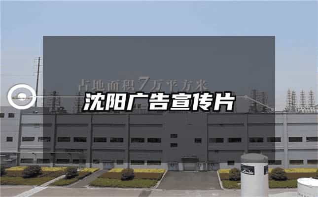 沈陽廣告宣傳片